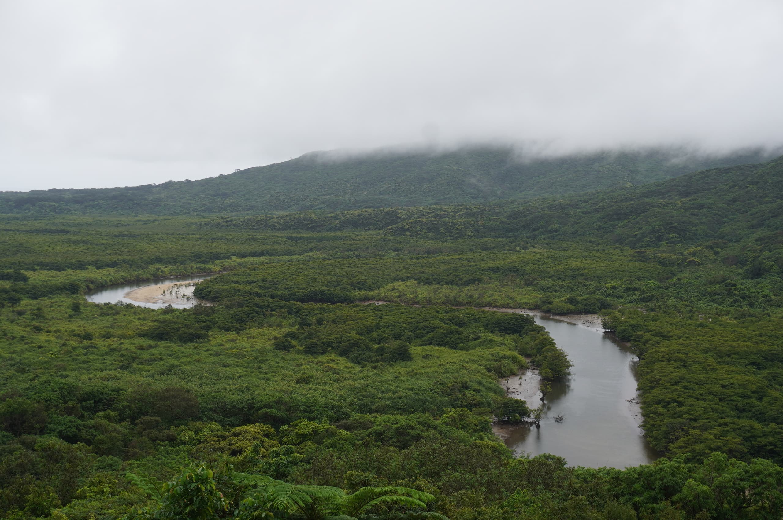 dsc07914.jpg