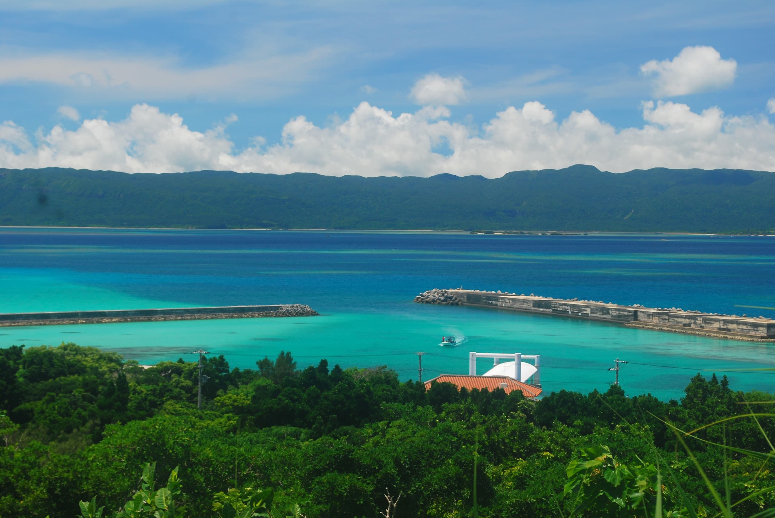 dsc_0270.jpg